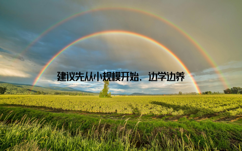 建议先从小规模开始, 边学边养