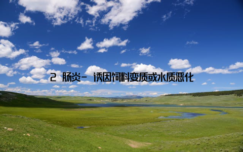 2 肠炎- 诱因饲料变质或水质恶化