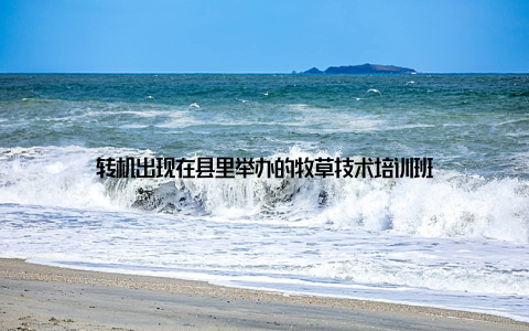 转机出现在县里举办的牧草技术培训班