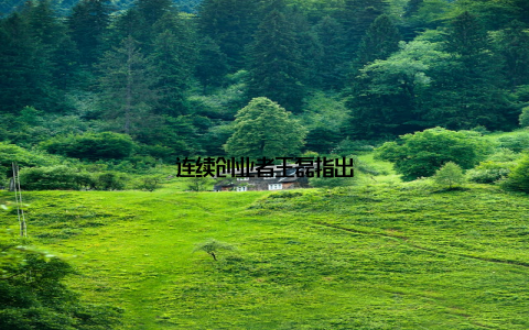 连续创业者王磊指出