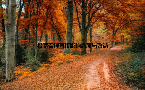 投喂管理直接影响品质与效益