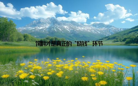 饲料才是真正的“烧钱”环节