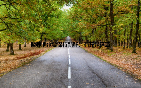 暂养池水要保持新鲜, 有充足溶氧