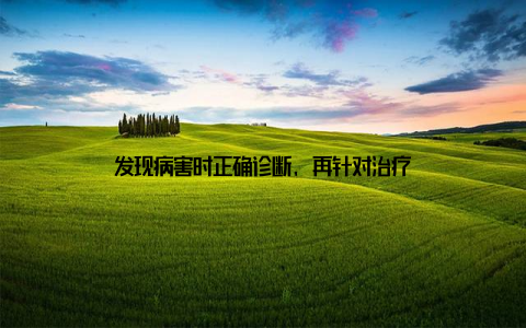 发现病害时正确诊断, 再针对治疗