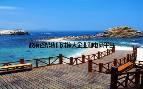政府还帮我们对接大企业和电商平台