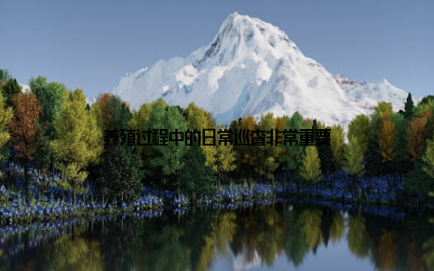 养殖过程中的日常巡查非常重要