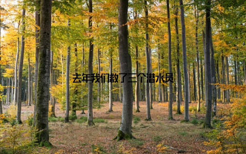 去年我们救了三个潜水员