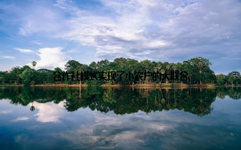 合作社模式实现了小农户的大联合