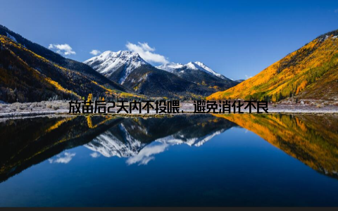 放苗后2天内不投喂, 避免消化不良