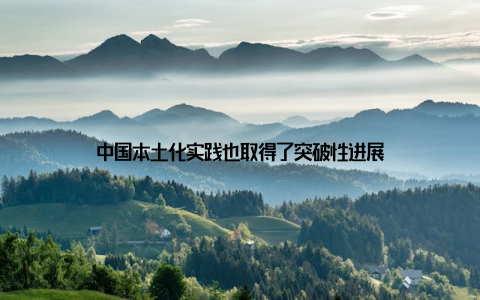 中国本土化实践也取得了突破性进展