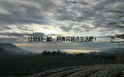 让我们一起, 用青苔装点生活吧!