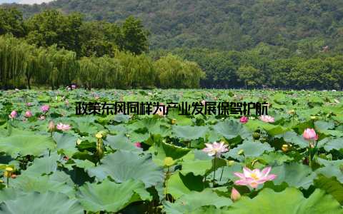 政策东风同样为产业发展保驾护航