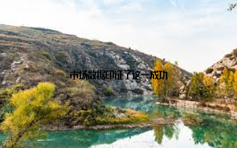 市场数据印证了这一成功
