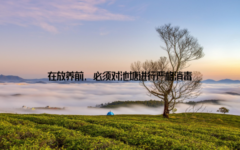 在放养前, 必须对池塘进行严格消毒