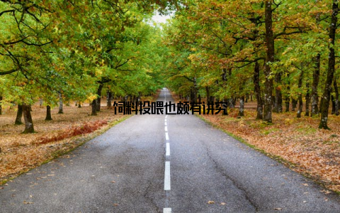 饲料投喂也颇有讲究