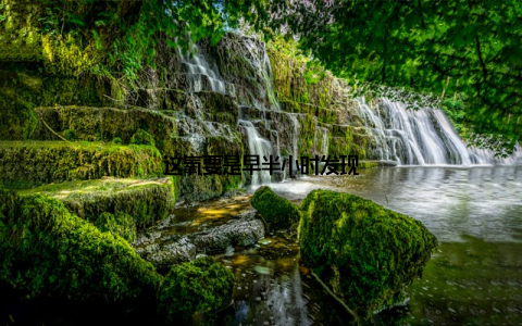 这氧要是早半小时发现