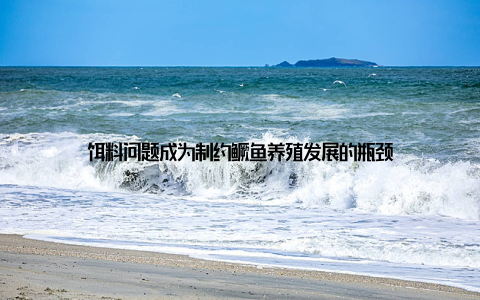 饵料问题成为制约鳜鱼养殖发展的瓶颈