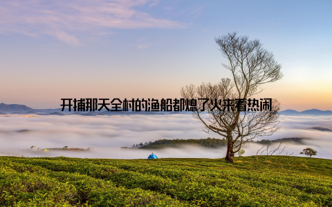 开捕那天全村的渔船都熄了火来看热闹