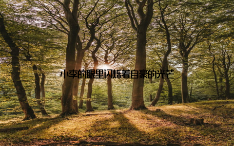 小李的眼里闪烁着自豪的光芒