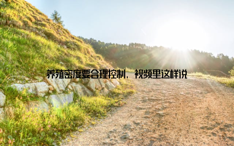 养殖密度要合理控制, 视频里这样说