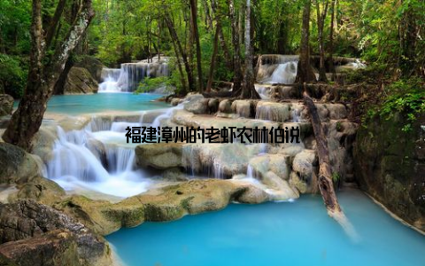 福建漳州的老虾农林伯说