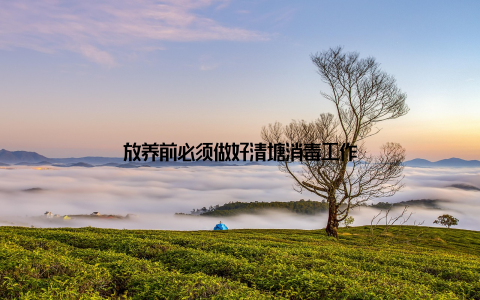 放养前必须做好清塘消毒工作