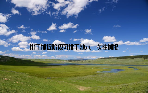 排干捕捉阶段可排干池水一次性捕捉