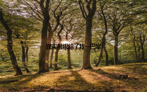 现实狠狠给了我一巴掌