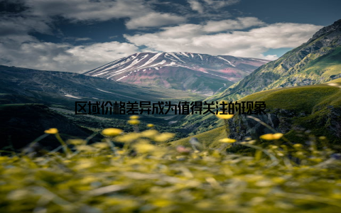 区域价格差异成为值得关注的现象