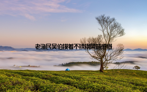 老渔民吴伯摸着不锈钢网箱感慨
