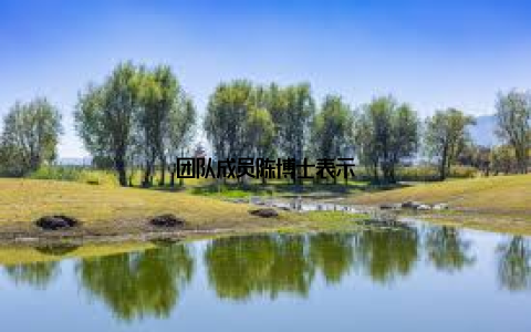 团队成员陈博士表示