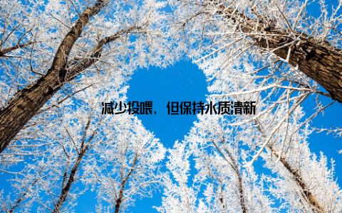 – 减少投喂, 但保持水质清新