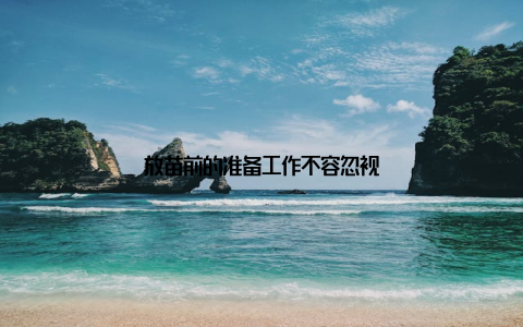 放苗前的准备工作不容忽视