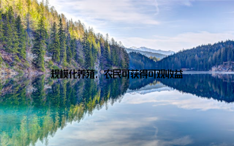 规模化养殖, 农民可获得可观收益