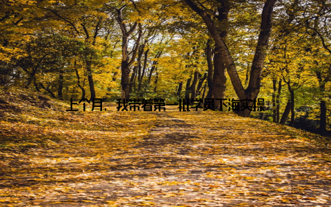 上个月, 我带着第一批学员下海实操