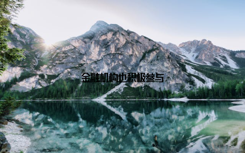 金融机构也积极参与