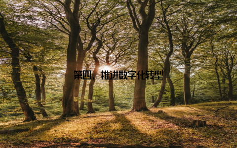 第四, 推进数字化转型
