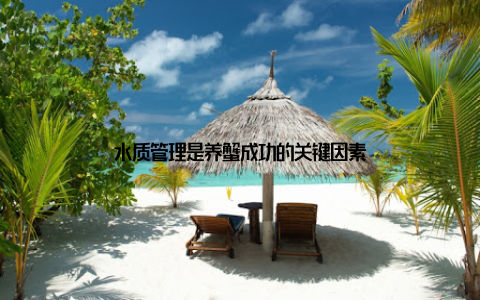 水质管理是养蟹成功的关键因素