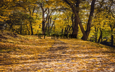 犯了一连串低级错误