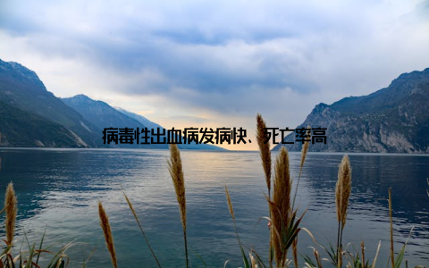 病毒性出血病发病快、死亡率高