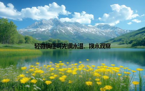 轻微病症可先调水温、换水观察