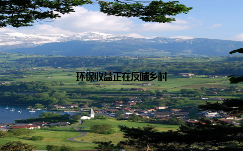 环保收益正在反哺乡村