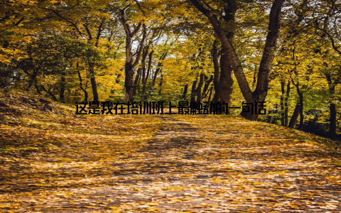 这是我在培训班上最触动的一句话